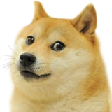 doge